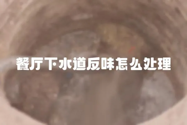 餐廳下水道反味怎么處理