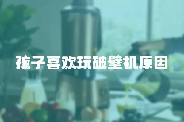 孩子喜歡玩破壁機(jī)原因