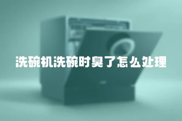 洗碗機洗碗時臭了怎么處理