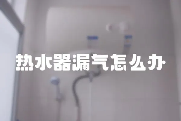 熱水器漏氣怎么辦