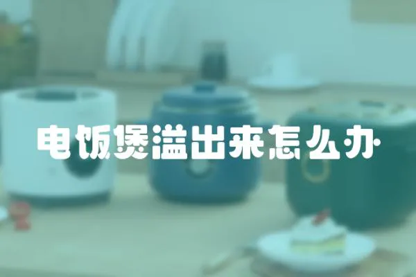 電飯煲溢出來怎么辦