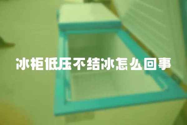 冰柜低壓不結(jié)冰怎么回事