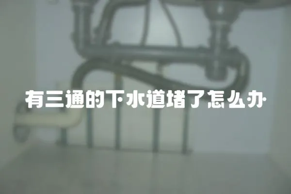 有三通的下水道堵了怎么辦