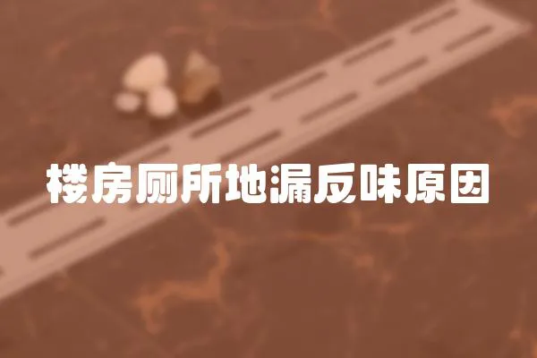 樓房廁所地漏反味原因