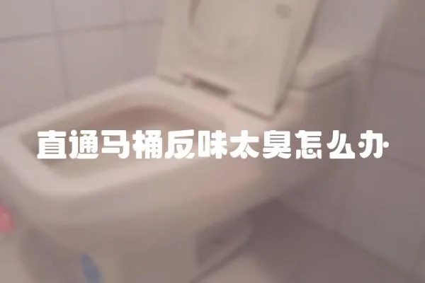 直通馬桶反味太臭怎么辦