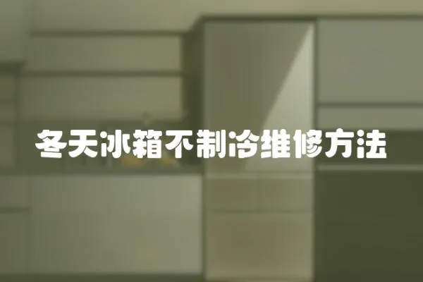 冬天冰箱不制冷維修方法