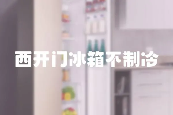 西開門冰箱不制冷