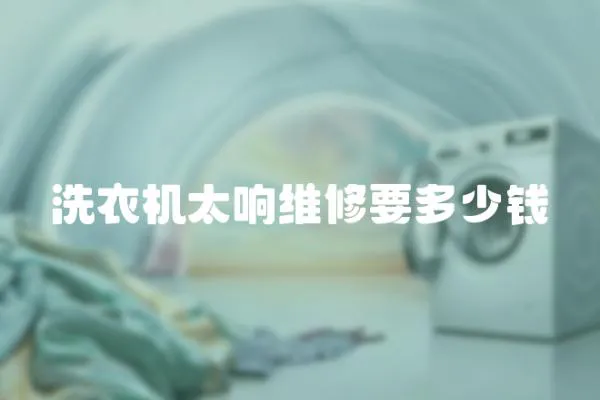 洗衣機太響維修要多少錢