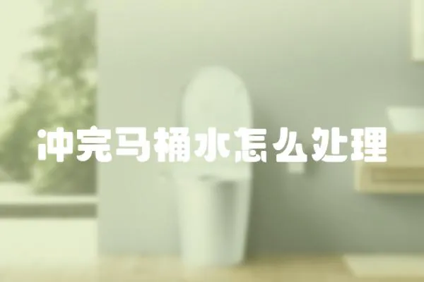 沖完馬桶水怎么處理