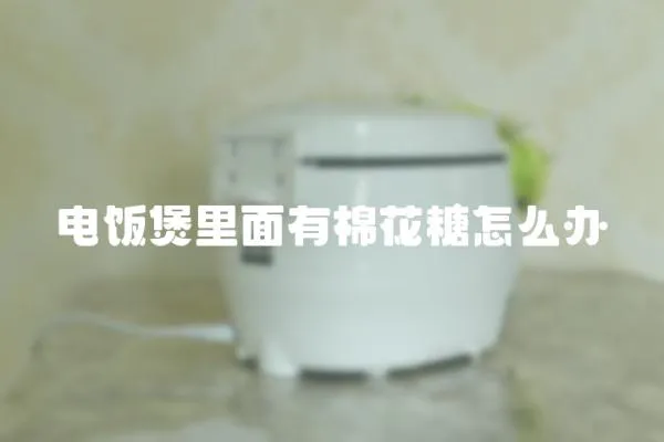 電飯煲里面有棉花糖怎么辦