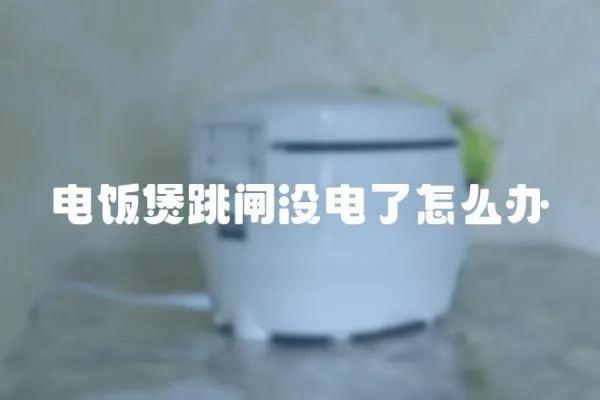 電飯煲跳閘沒電了怎么辦