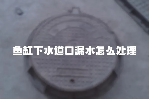 魚缸下水道口漏水怎么處理
