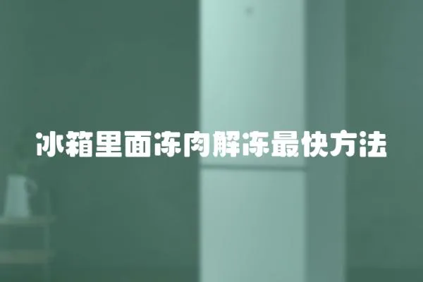 冰箱里面凍肉解凍最快方法
