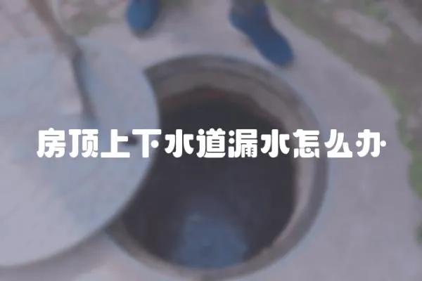 房頂上下水道漏水怎么辦