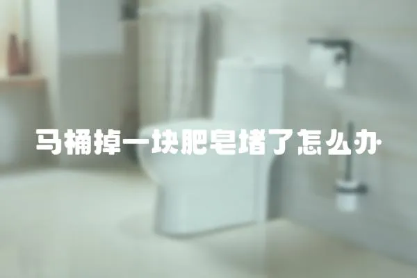 馬桶掉一塊肥皂堵了怎么辦