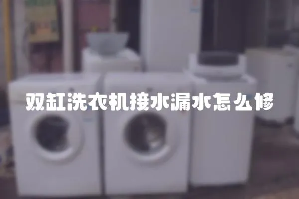 雙缸洗衣機(jī)接水漏水怎么修