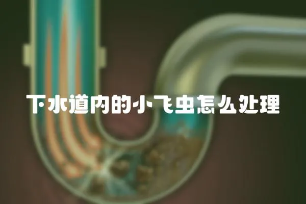 下水道內的小飛蟲怎么處理