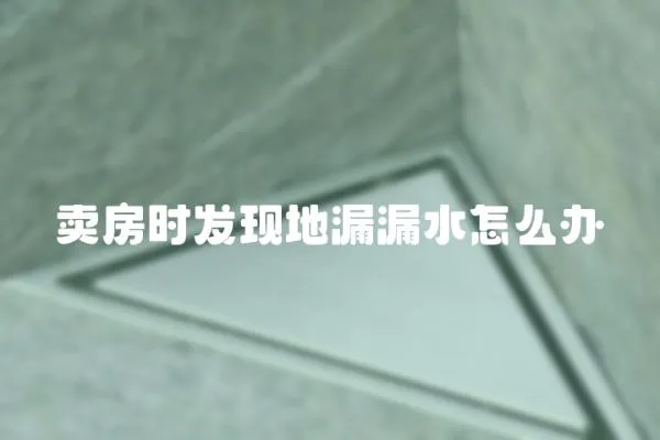 賣房時發現地漏漏水怎么辦