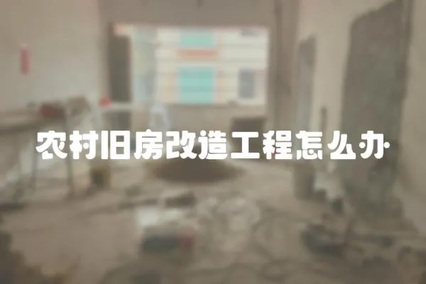 農村舊房改造工程怎么辦