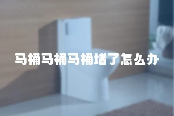 馬桶馬桶馬桶堵了怎么辦