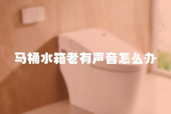 馬桶水箱老有聲音怎么辦