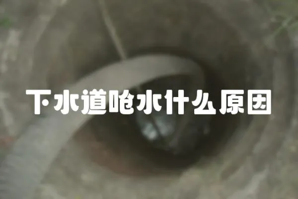 下水道嗆水什么原因