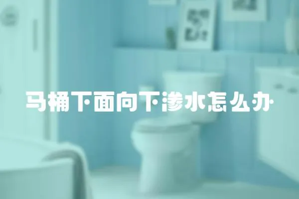 馬桶下面向下滲水怎么辦
