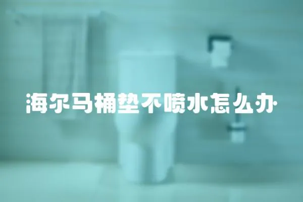 海爾馬桶墊不噴水怎么辦