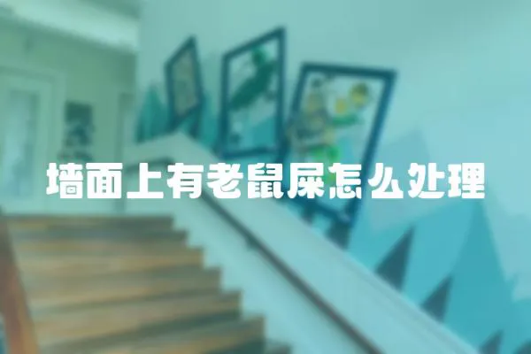 墻面上有老鼠屎怎么處理