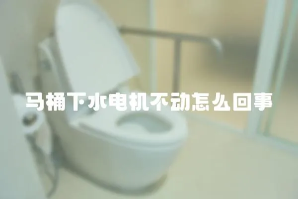 馬桶下水電機(jī)不動(dòng)怎么回事