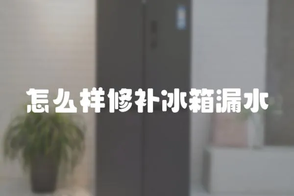 怎么樣修補(bǔ)冰箱漏水