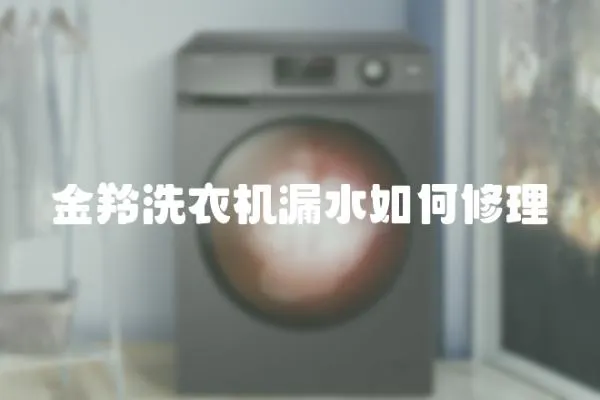 金羚洗衣機漏水如何修理