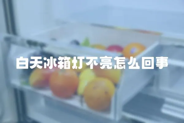 白天冰箱燈不亮怎么回事