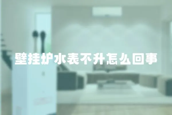 壁掛爐水表不升怎么回事