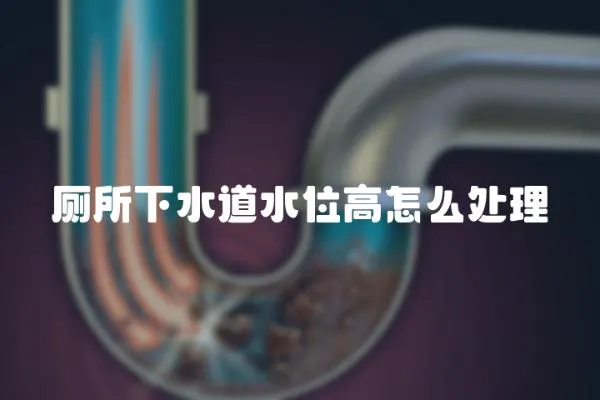 廁所下水道水位高怎么處理