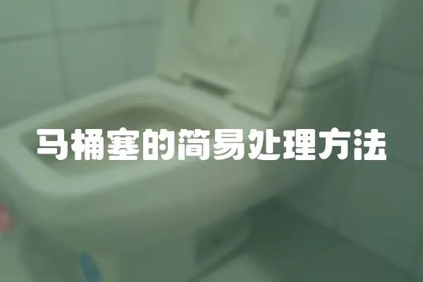 馬桶塞的簡易處理方法