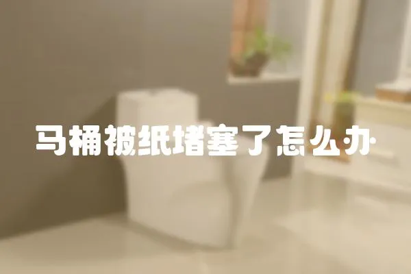 馬桶被紙堵塞了怎么辦