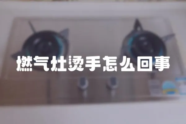 燃?xì)庠顮C手怎么回事