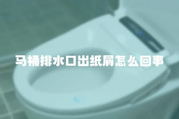 馬桶排水口出紙屑怎么回事