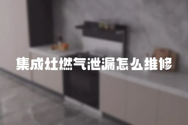 集成灶燃?xì)庑孤┰趺淳S修