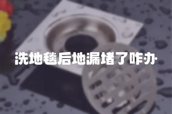 洗地毯后地漏堵了咋辦