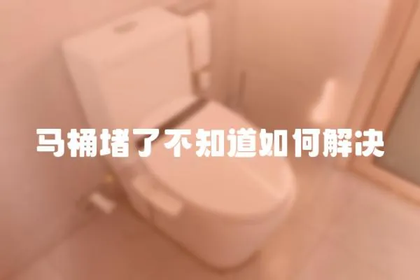馬桶堵了不知道如何解決