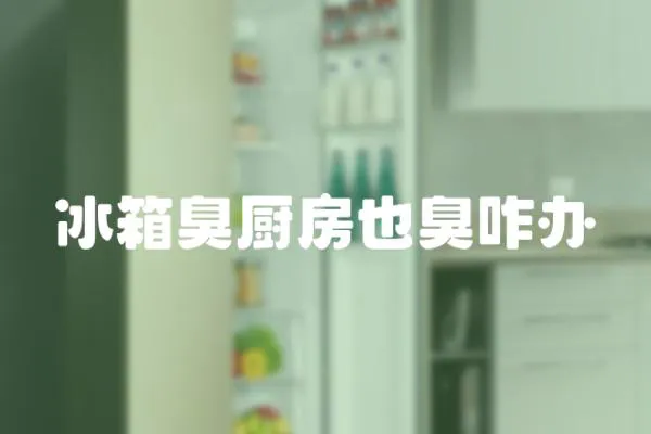 冰箱臭廚房也臭咋辦