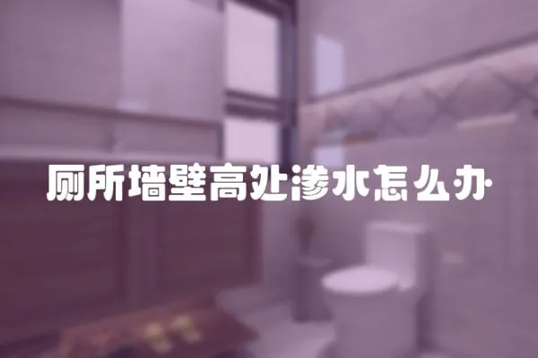 廁所墻壁高處滲水怎么辦