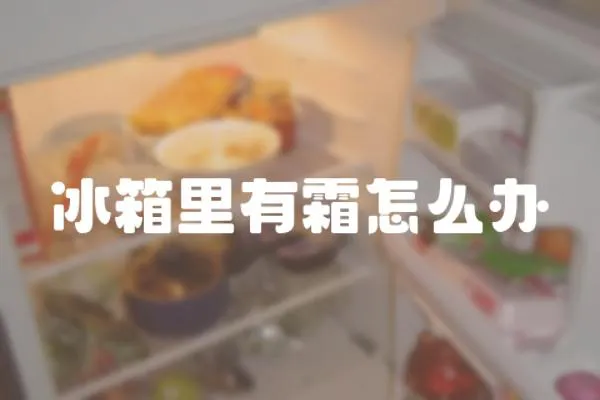 冰箱里有霜怎么辦
