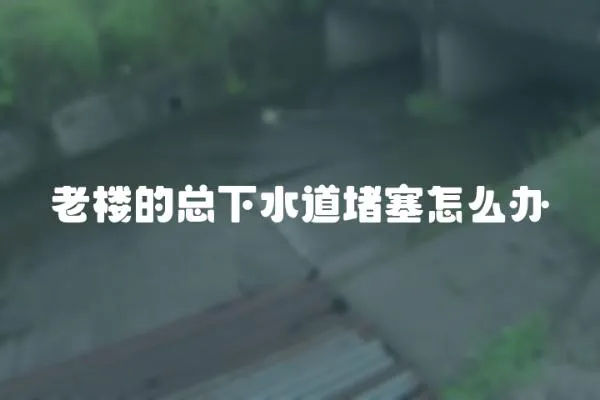 老樓的總下水道堵塞怎么辦