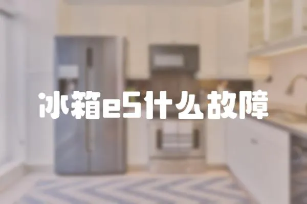 冰箱e5什么故障