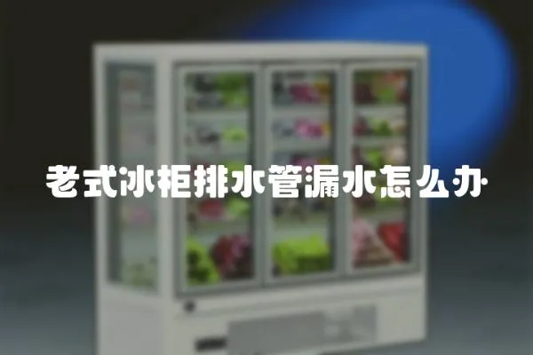 老式冰柜排水管漏水怎么辦