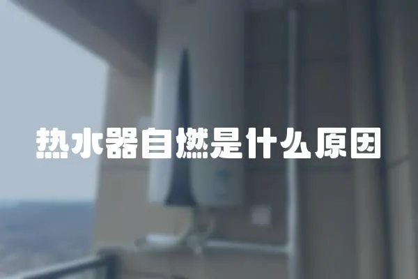 熱水器自燃是什么原因