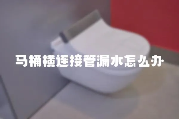 馬桶橫連接管漏水怎么辦
